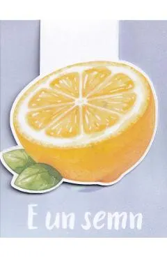 Semn de carte magnetic: Lamaie