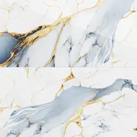 Gresie exterior / interior portelanata Aqua Gold Insert 60 x 120 cm lucioasa rectificata