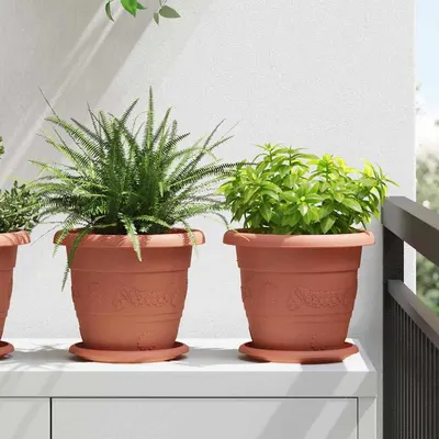 vidaXL Tavă rotundă pentru flori 6 buc. Roșu cărămidă Ø 17,5 x 2 cm