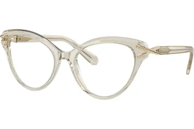 Swarovski SK2030 3003