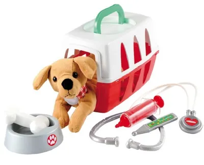 Set de joacă Ecoiffier - Set veterinar cu câine