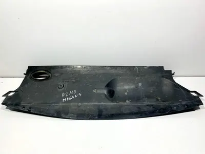 Deflector aer 214766469R Renault Megane 3 (2008-2012)