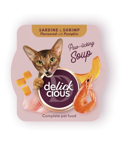Delickcious Pisica Plic Supa Sardine Cu Creveti Si Dovleac 80 g
