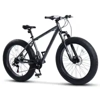 Bicicletă MTB semi-rigidă Hercules Fat Bike 21v Gri/Negru
