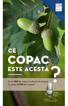 Ce copac este acesta?