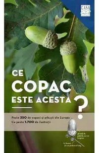 Ce copac este acesta?