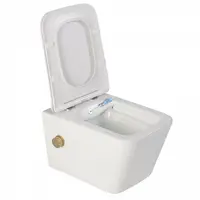 Vas wc suspendat cu functie bideu, dreptunghiular, apa calda rece, rimless, baterie auriu mat Foglia Safari
