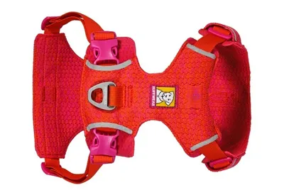 Ham Front Range Flex Ruffwear - XS - Rose Violet