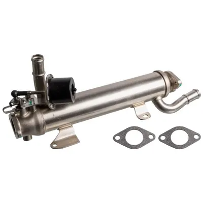 Radiator Recirculare Gaze Esapament Potrivit Audi A3, Tt; Seat Altea, Altea Xl, Cordoba, Cordoba Vario, Cordoba Vario Kombi, Ibiza Ii, Inca, Leon, Toledo Ii; Skoda Octavia I 1.9d 2.0d 11.95-07.18