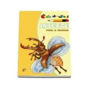 Insecte