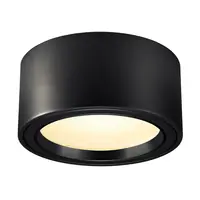 Corp iluminat TAVAN, FERA 25 de Plafon Luminita, negru cu LED-uri de interior Montat pe suprafata lumenul Plafon, negru, 3000K, 100 °,