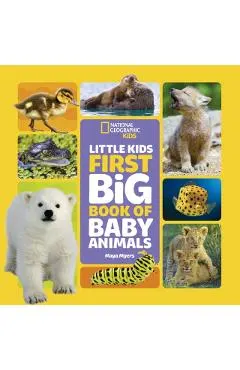 Little Kids First Big Book of Baby Animals