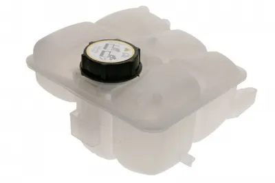 Vas Expansiune (cu Capac) Ford C-Max Ii, Focus Iii, Grand C-Max, Kuga Ii, Tourneo Connect V408, Transit Connect V408 Dupa 2010