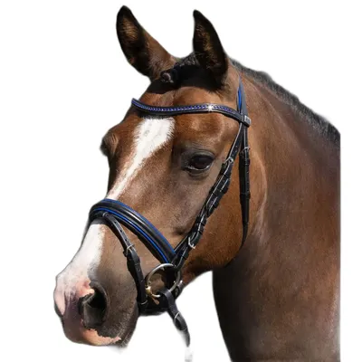 Zăbala Ponei Premier Equine Mineo