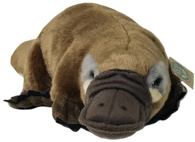 Jucărie de pluș Rappa Eco prietenii - Ornitorinc, 44 cm