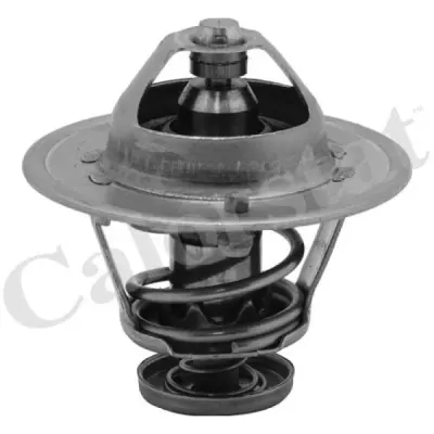 Termostat, lichid racire CALORSTAT by Vernet TH6252.89J