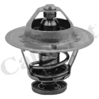 Termostat, lichid racire CALORSTAT by Vernet TH6252.89J