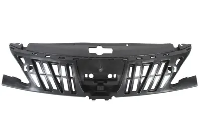 Grila radiator potrivit PEUGEOT 307, 307/KOMBI 1.4-2.0D 2000-2012 pana in 2009 - (partea interioara, interior)