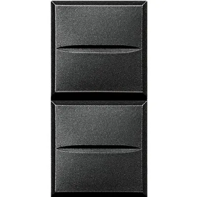 Buton dublu Axolute ND/ND - 10A-250V~- Conectare automata - Antracit - 1 modul