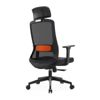Scaun de birou ergonomic Almira cu suport reglabil - dimensiuni W720*D635*H1180-1290 mm