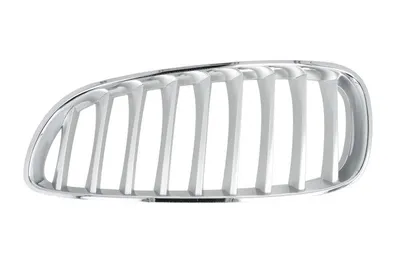 Grila radiator Stanga potrivit BMW Z4 (E89) 2.0/2.5/3.0 2009-2016 2009-2013 - (pachet M, titan)