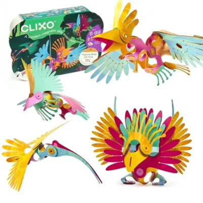 Joc magnetic de constructie - Pasari Tropicale
