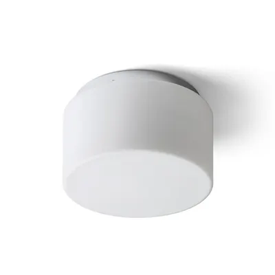 ARANA R 27 Plafoniera opal-colored sticla/crom 230V E27 20W IP44