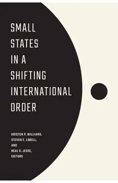 Small States in a Shifting International Order