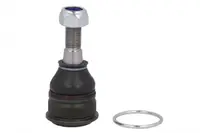 Pivot axa Dreapta Stanga (fata) (diametru con 16mm) potrivit NISSAN MICRA II 1.0-1.5D 08.92-02.03