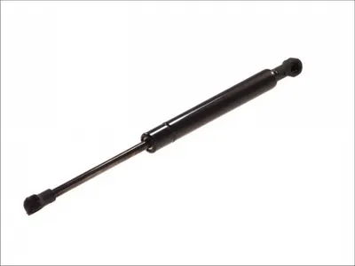 Amortizor capota fata BMW X5 (E53) 2000-2006