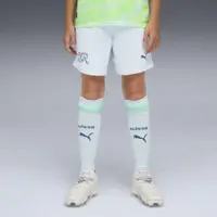 Elveția 2026 Șorturi pentru juniori PUMA