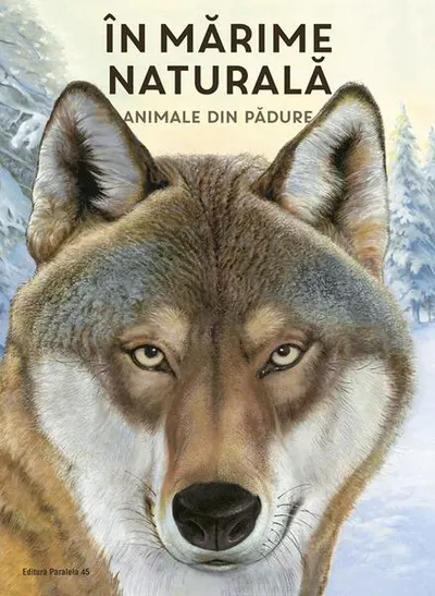 În mărime naturală. Animale din pădure - Hardcover
