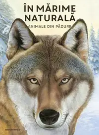 În mărime naturală. Animale din pădure - Hardcover