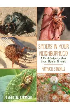 Spiders in Your Neighborhood: A Field Guide to Your Local Spider Friends, Revised and Expanded
