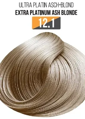 Vopsea Profesionala Fara Amoniac EVOQUE USA, Nuanta 12.1 VERY PLATINUM ASH BLONDE - Cu Ulei de Argan si 12 Aminoacizi, 100 ml - Evoque