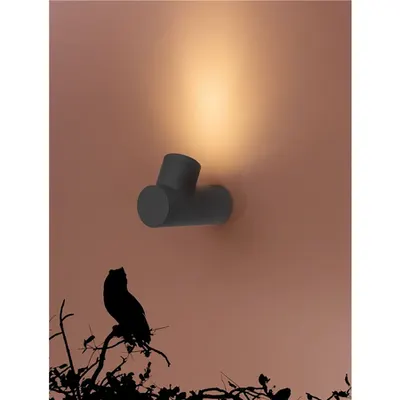 Aplica RAMO Inchis Gray Aluminiu Sticla Diffuser LED GU10 1x7 Wat 220-240 Volt IP65