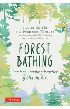 Forest Bathing: The Rejuvenating Practice of Shinrin Yoku