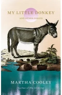 My Little Donkey: And Other Essays