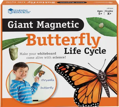 Set magnetic Learning Resources - Ciclul de viață al unui fluture
