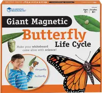 Set magnetic Learning Resources - Ciclul de viață al unui fluture