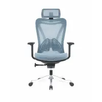 Scaun de birou ergonomic Norvex , suport lombar reglabil ,dimensiuni 720*690*1190-1270 mm