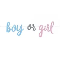 Banner gender reveal 213 cm