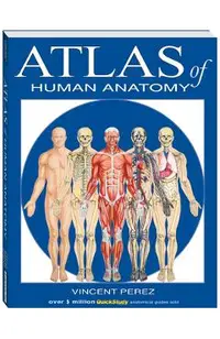 Atlas of the Human Anatomy: A Quickstudy Reference