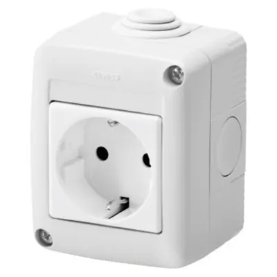 Protected Enclosure Complete With System Devices - With Socket-Outlet 2p+e 16 a - German Standard - Ip40 - Grey Ral 7035