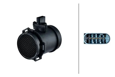 Debitmetru aer (5 pini, modul) potrivit BMW Seria 5 (E39), 7 (E38), X5 (E53); LAND ROVER RANGE ROVER III 4.4 4.6 02.96-08.12