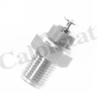 Senzor temperatura lichid racire CALORSTAT by Vernet WS2525