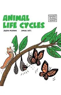 Animal Life Cycles