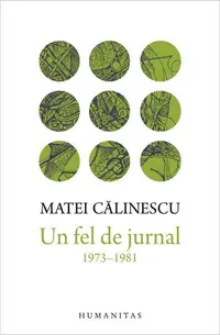 Un fel de jurnal 1973-1981 - Hardcover - Matei Călinescu