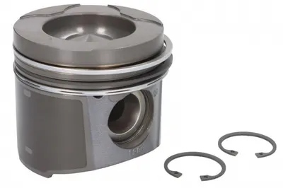 Piston (diametru 98mm, Std) Potrivit Fendt 711 Vario, 711 Vario Favorit, 712 Vario Seria I, 712 Vario Seria Ii, 714 Vario Seria I, 714 Vario Seria Ii, 716 Vario Favorit, 716 Vario Seria I