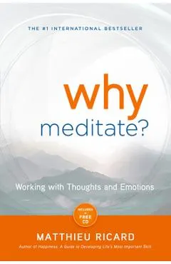 Why Meditate?